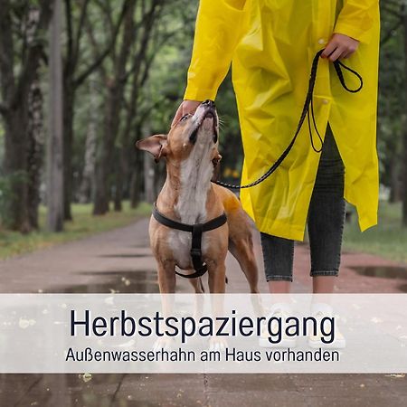 Ferienloft Sternenblick - Strandnah, Haustierfreundlich, Tolle Kueche, Optimal Fuer Workation, 4 Personen Steinberg  Dış mekan fotoğraf