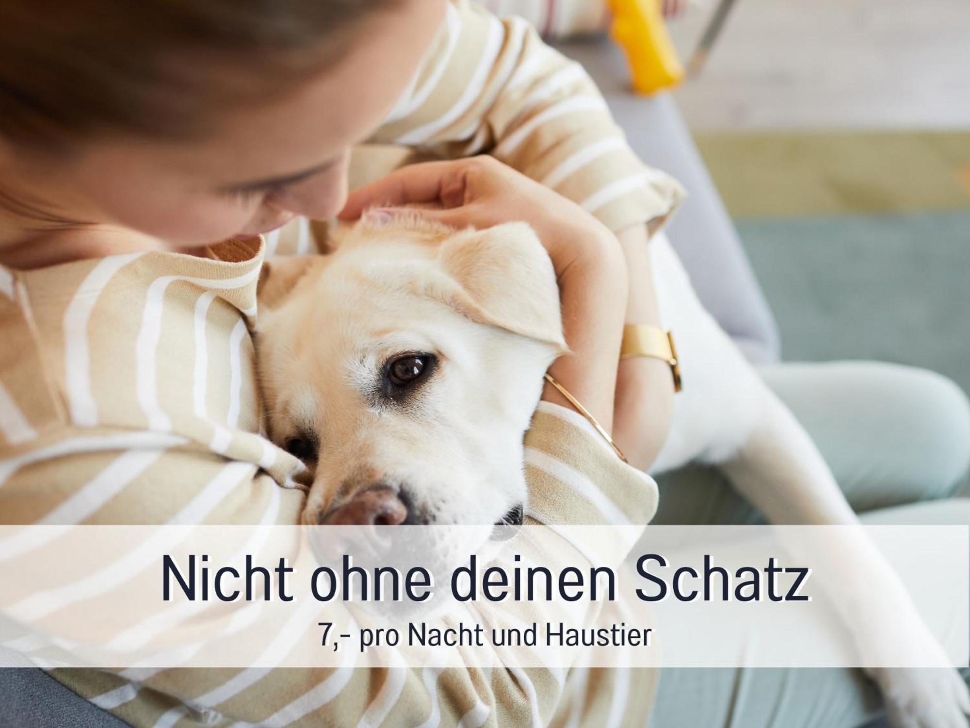 Ferienloft Sternenblick - Strandnah, Haustierfreundlich, Tolle Kueche, Optimal Fuer Workation, 4 Personen Steinberg  Dış mekan fotoğraf