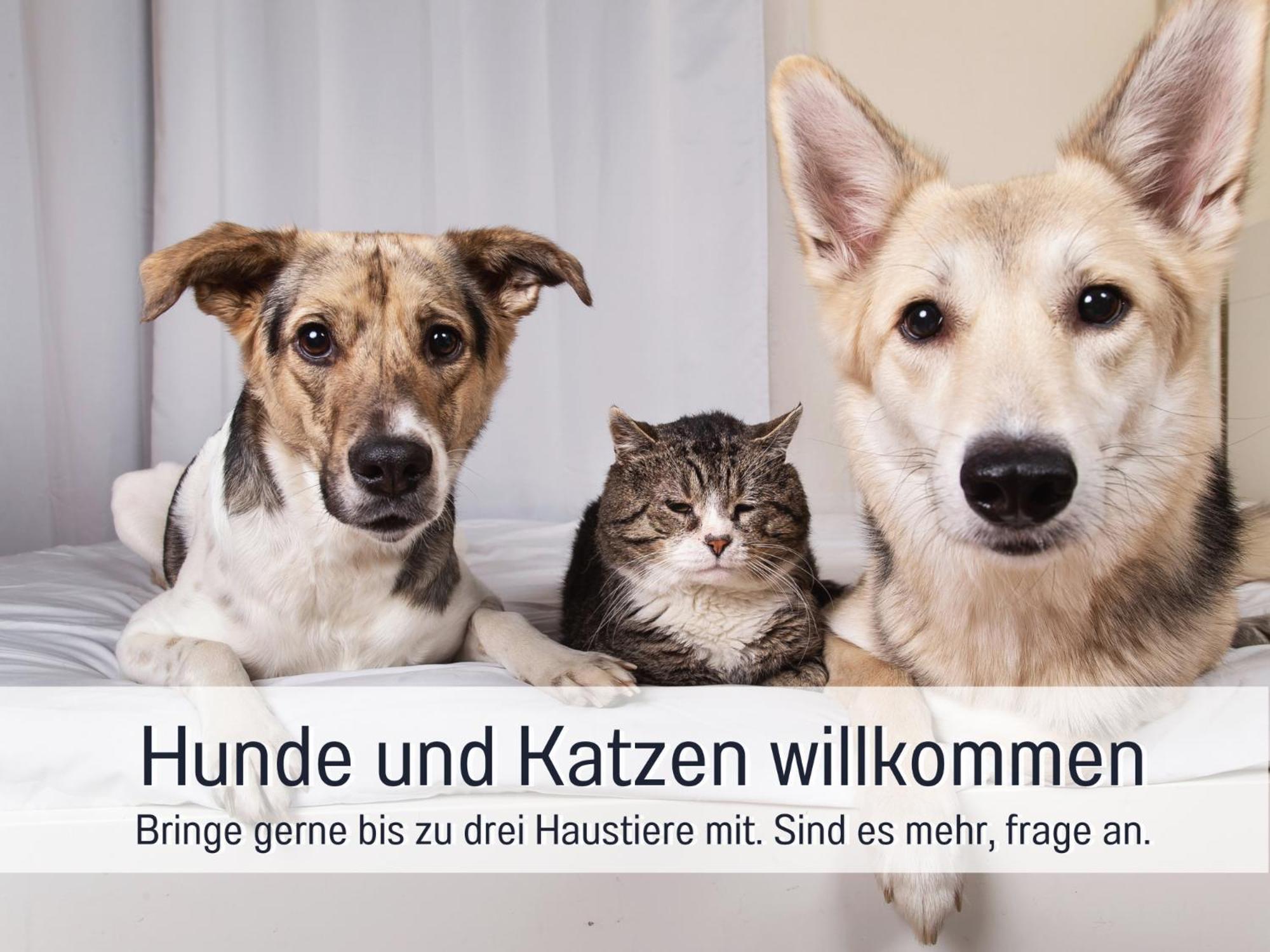 Ferienloft Sternenblick - Strandnah, Haustierfreundlich, Tolle Kueche, Optimal Fuer Workation, 4 Personen Steinberg  Dış mekan fotoğraf