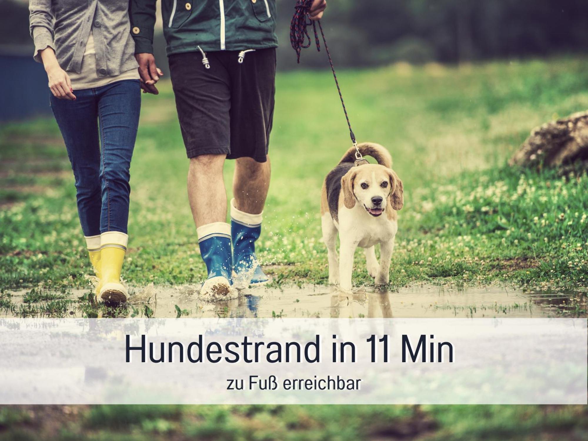 Ferienloft Sternenblick - Strandnah, Haustierfreundlich, Tolle Kueche, Optimal Fuer Workation, 4 Personen Steinberg  Dış mekan fotoğraf