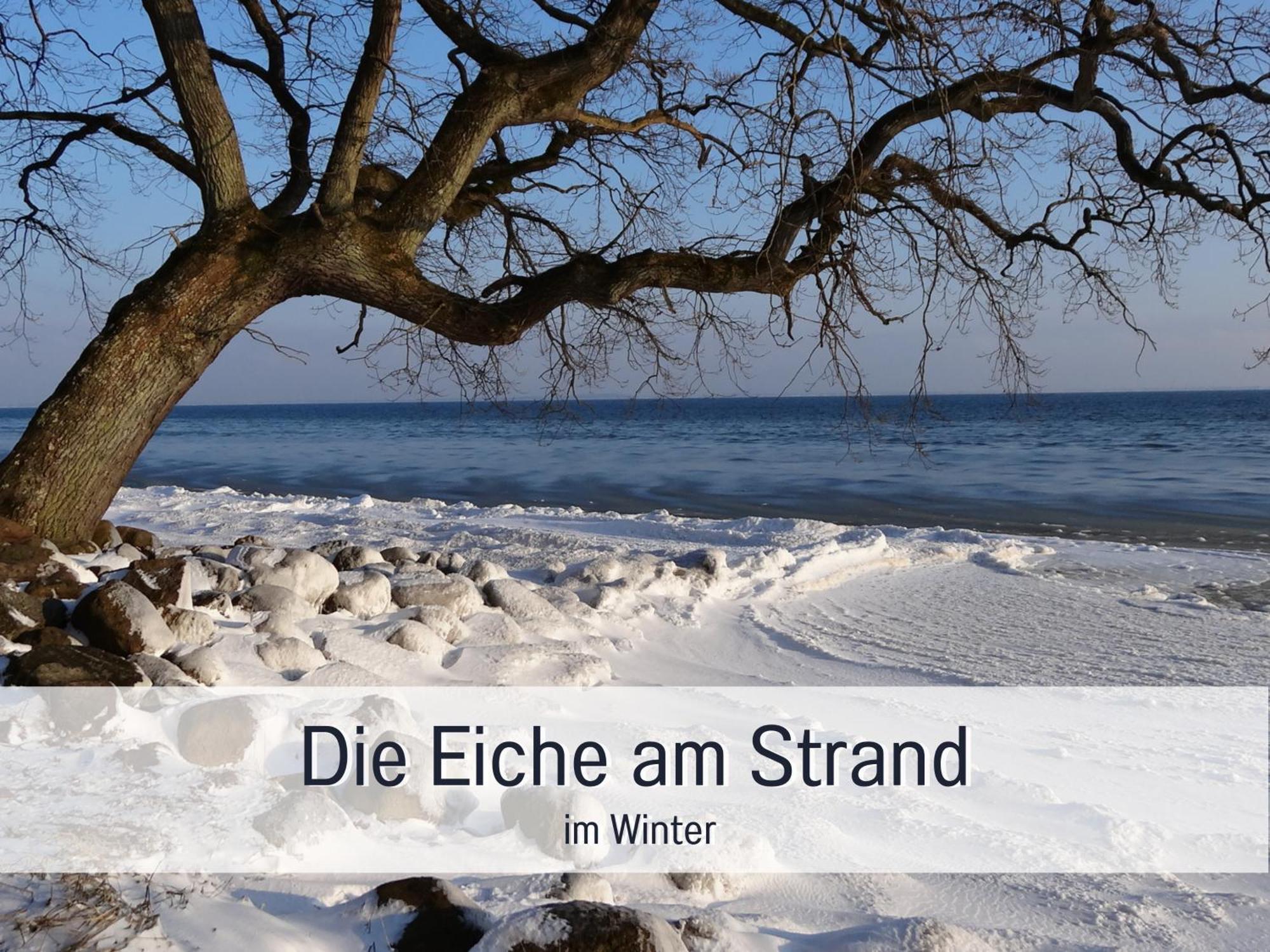 Ferienloft Sternenblick - Strandnah, Haustierfreundlich, Tolle Kueche, Optimal Fuer Workation, 4 Personen Steinberg  Dış mekan fotoğraf