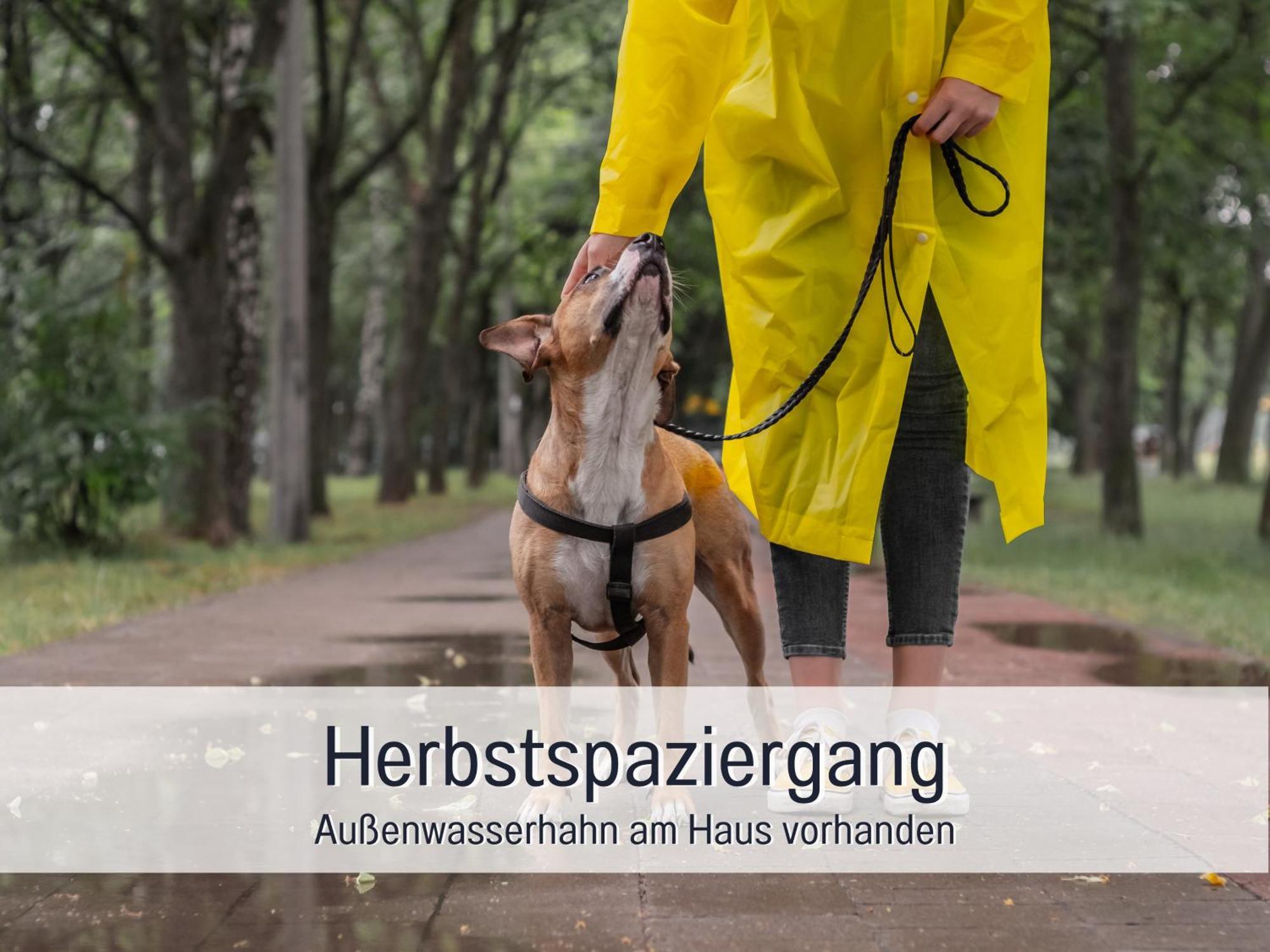 Ferienloft Sternenblick - Strandnah, Haustierfreundlich, Tolle Kueche, Optimal Fuer Workation, 4 Personen Steinberg  Dış mekan fotoğraf